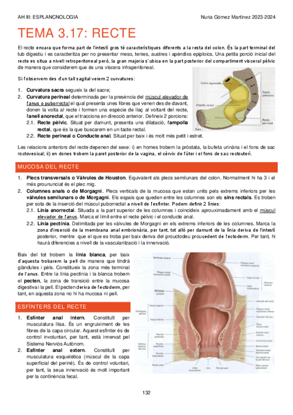 Miniatura del documento TEMA-3.17.-AP-DIGESTIU.-RECTE.-AH-III-APUNTS-132-134.pdf