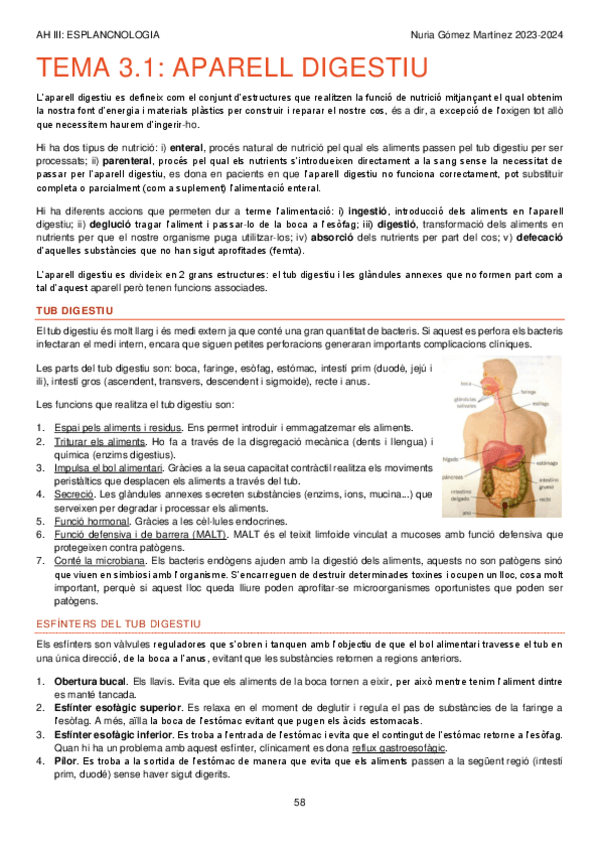 Miniatura del documento AH-III-APUNTS-SEGON-PARCIAL.pdf