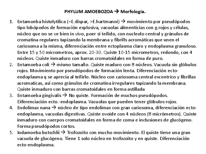 Miniatura del documento MORFOLOGÍA.pdf