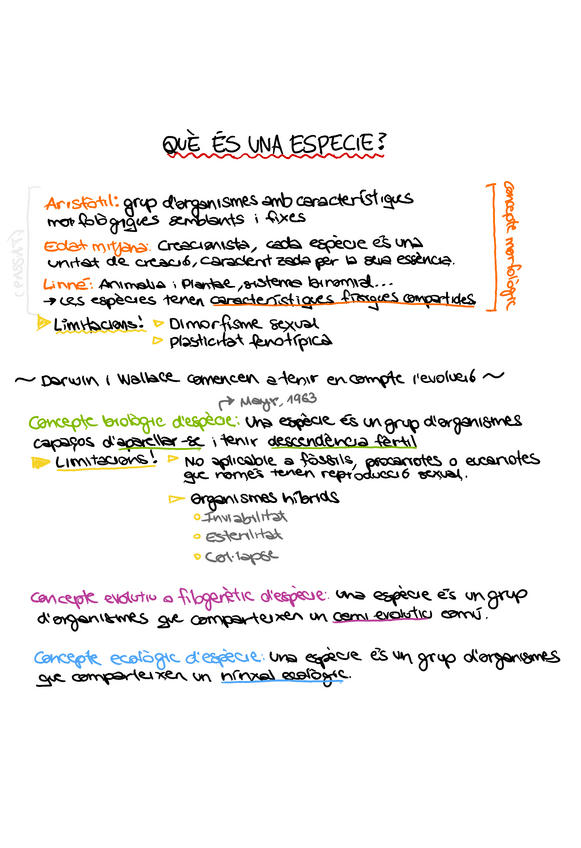 Miniatura del documento 9EsquemaQueEsUnaEspecieBioIAlbaCartro.pdf