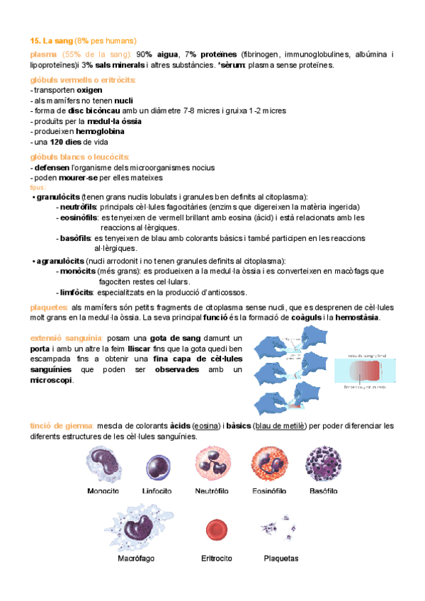 Miniatura del documento P.15.-La-sang.pdf