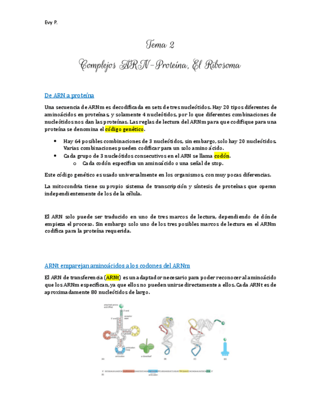 Miniatura del documento T2-Complejos ARN Proteína El Ribosoma.pdf