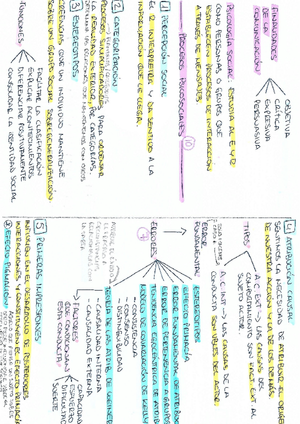 Miniatura del documento ESQUEMA T1 PSICO.pdf