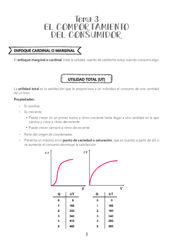 Miniatura del documento APUNTES T3 ECO.pdf