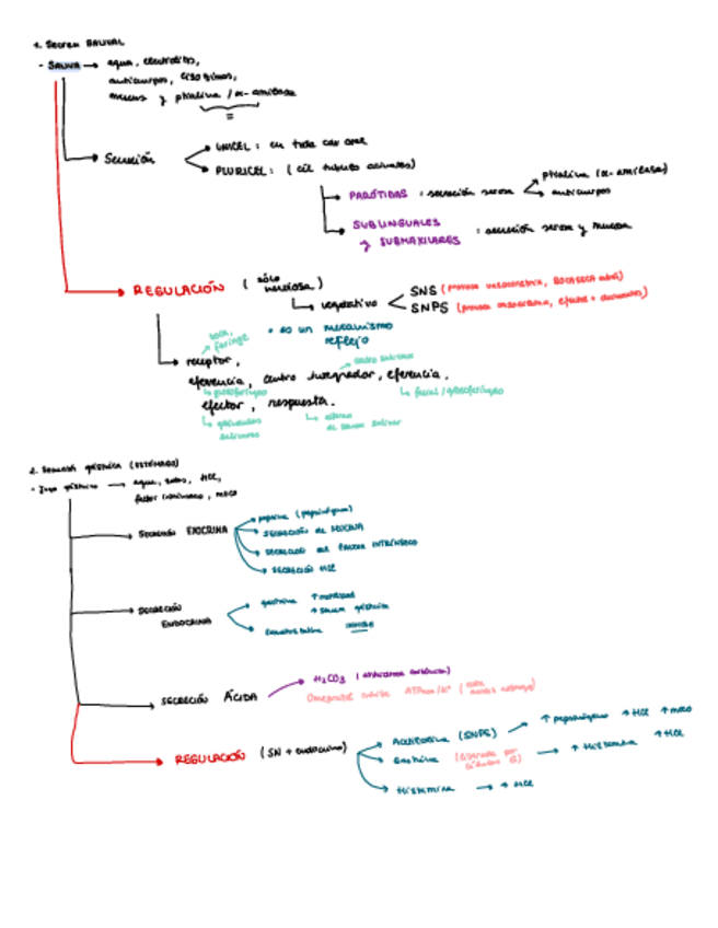 Miniatura del documento TEMA-23-ESQUEMA.pdf