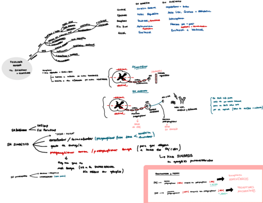 Miniatura del documento TEMA-4-ESQUEMA.pdf