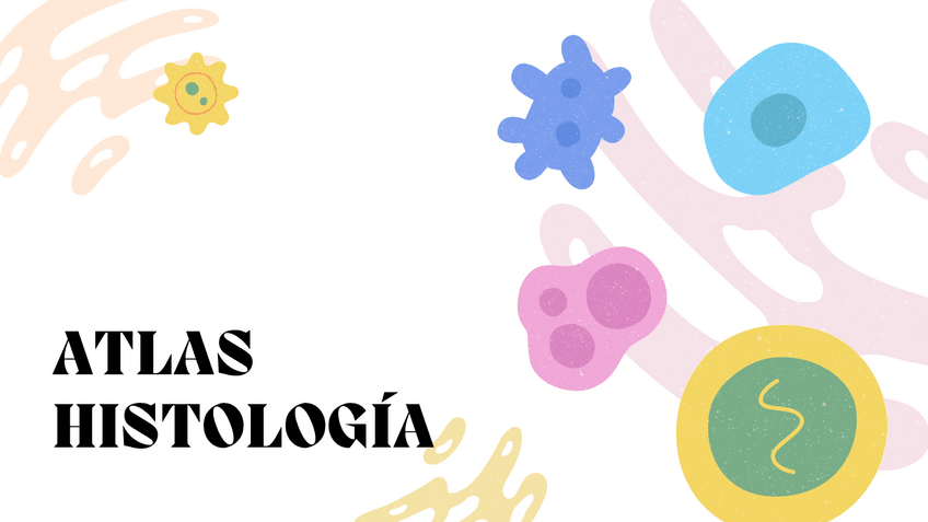 Miniatura del documento ATLAS-HISTOLOGIA.pdf
