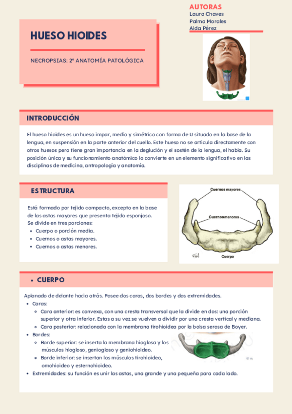 Miniatura del documento HIOIDES.-Articulo.pdf