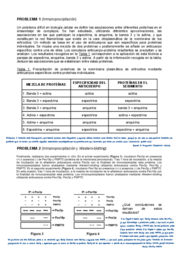 Miniatura del documento problemes-1-8-solucionats.pdf