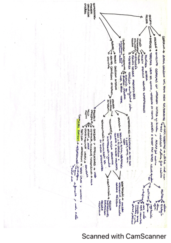 Miniatura del documento modelados-sistema-denudacion-continental.pdf