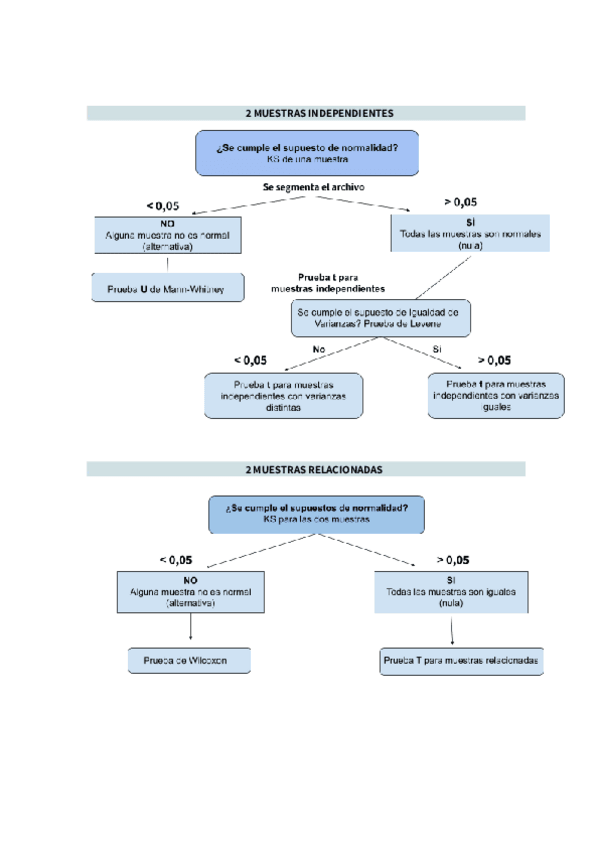 Miniatura del documento Esquemas-de-muestras.pdf