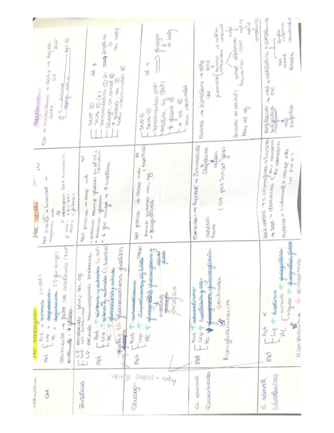Miniatura del documento Esquema-hormonas-endocrino.pdf
