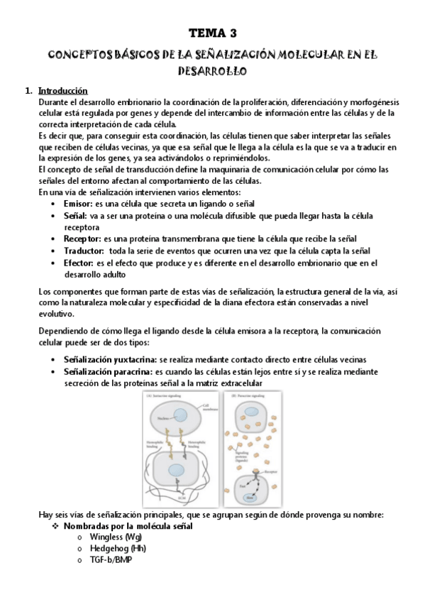 Miniatura del documento TEMA-3-VIAS-DE-SENALIZACION.pdf