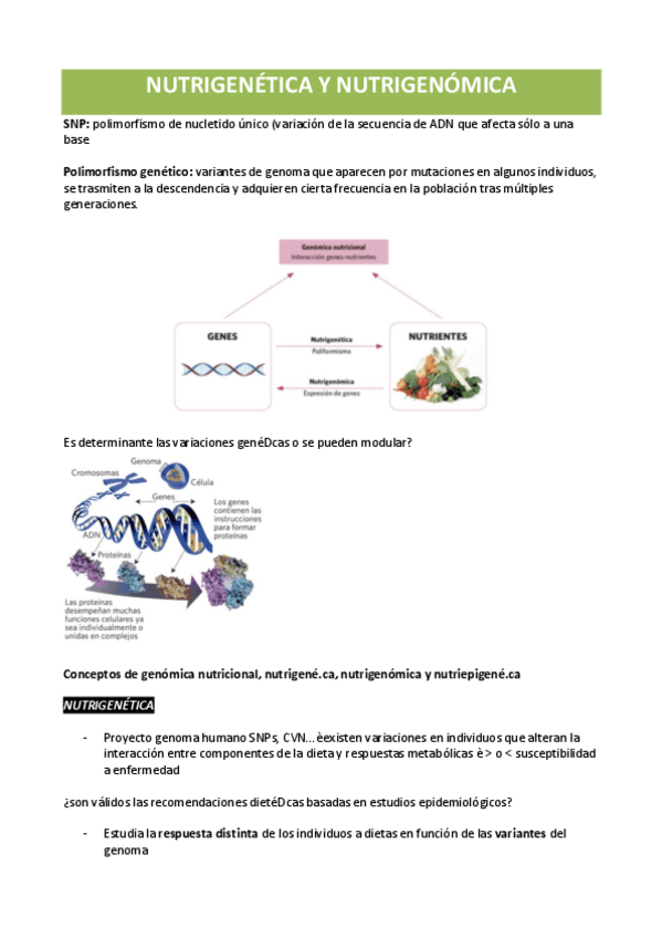 Miniatura del documento NUTRIGENETICA-Y-NUTRIGENOMICA.pdf