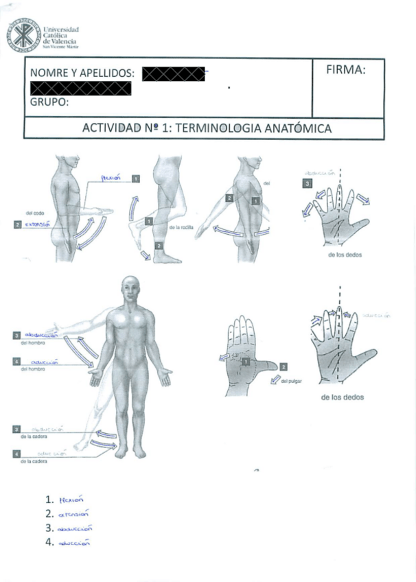 Miniatura del documento laminas-anatomia.pdf