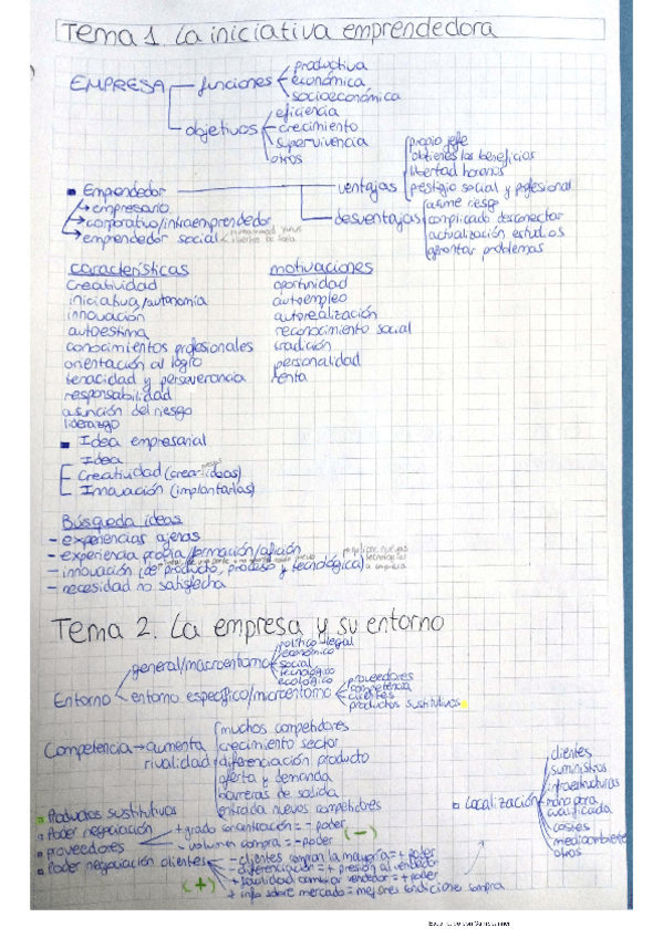 Miniatura del documento Resumen-EIE-1.pdf