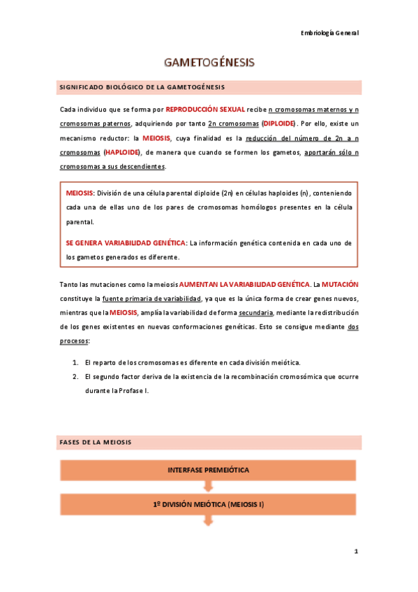 Miniatura del documento EMBRIOLOGIA-Pfra.-Natalia-Cuesta.pdf