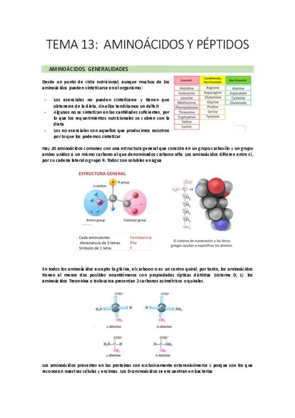 Miniatura del documento TEMA-13.pdf