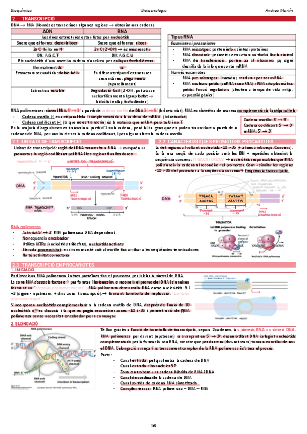 Miniatura del documento 3.2-transcripcio.pdf