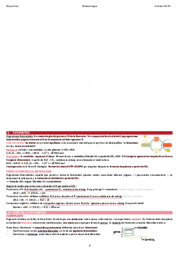 Miniatura del documento 2.5-fotosintesis.pdf