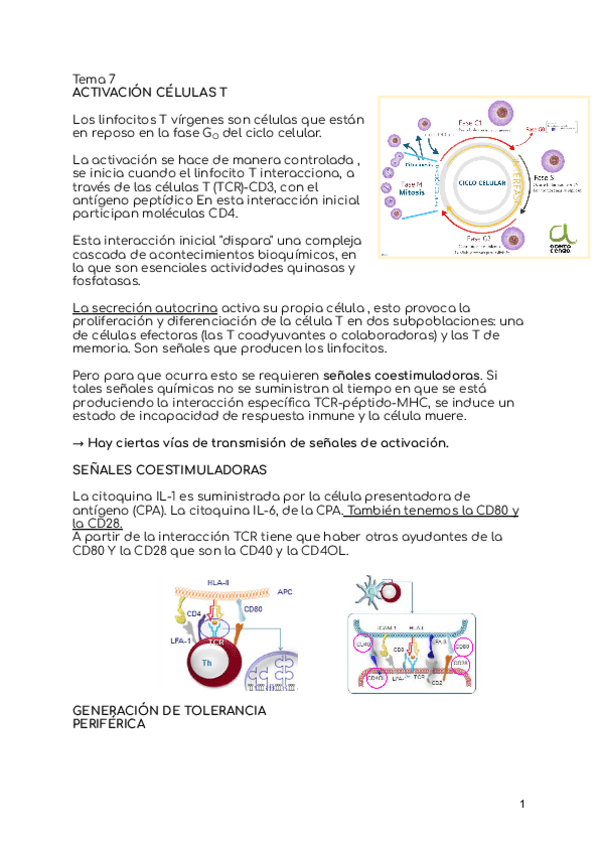 Miniatura del documento INMUNOLOGIA-tema-7-13.pdf