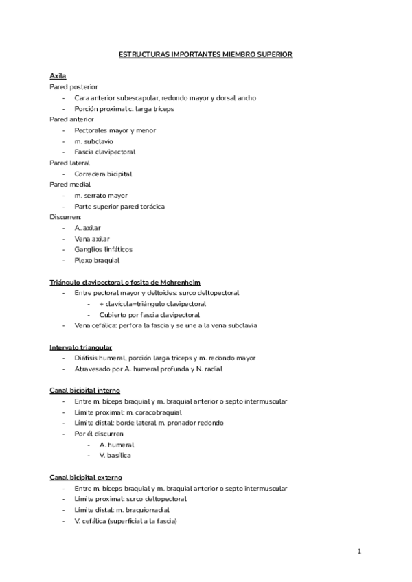 Miniatura del documento Estructuras-importantes-MS-Miembro-Superior.pdf