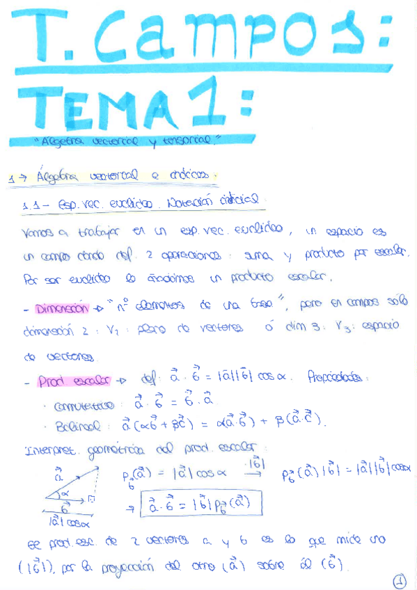 Miniatura del documento Apuntes completos academia.pdf