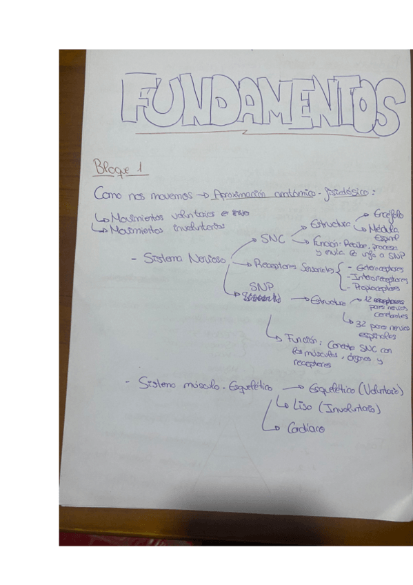 Miniatura del documento Apuntes-Bloque-1.pdf