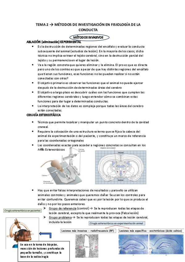Miniatura del documento TEMA-2.pdf