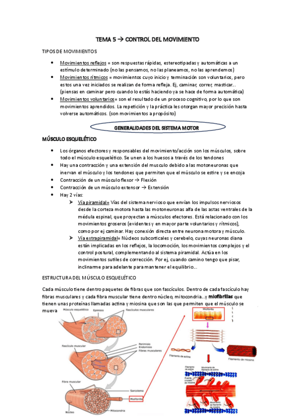 Miniatura del documento TEMA-5.pdf