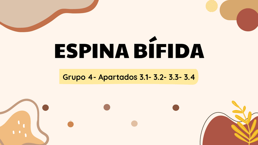 Miniatura del documento Espina-bifida.pdf