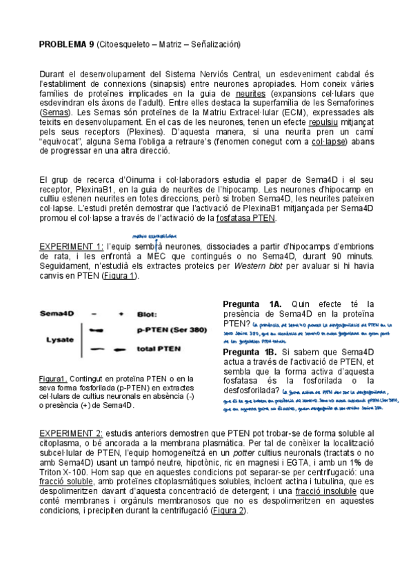 Miniatura del documento problemes-9-12-solucionats.pdf