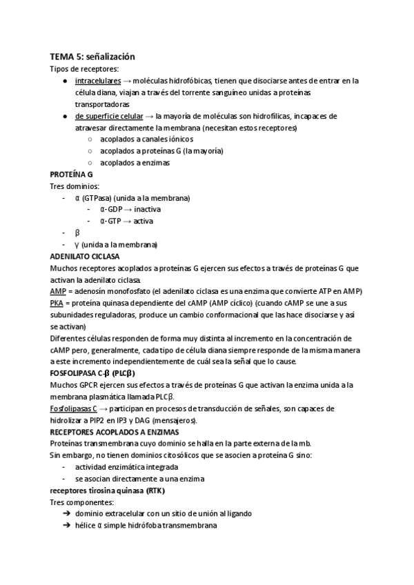 Miniatura del documento resumen-final.pdf
