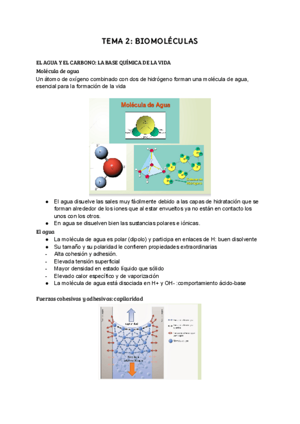 Miniatura del documento TEMA-2.-BIO.pdf