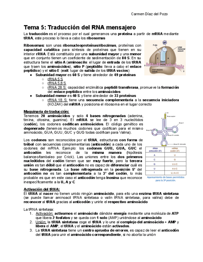 Miniatura del documento Tema-5-Completo.pdf