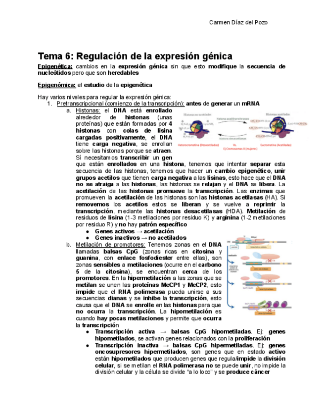 Miniatura del documento Tema-6-Completo.pdf