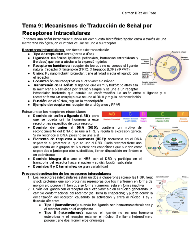 Miniatura del documento Tema-9-Completo.pdf