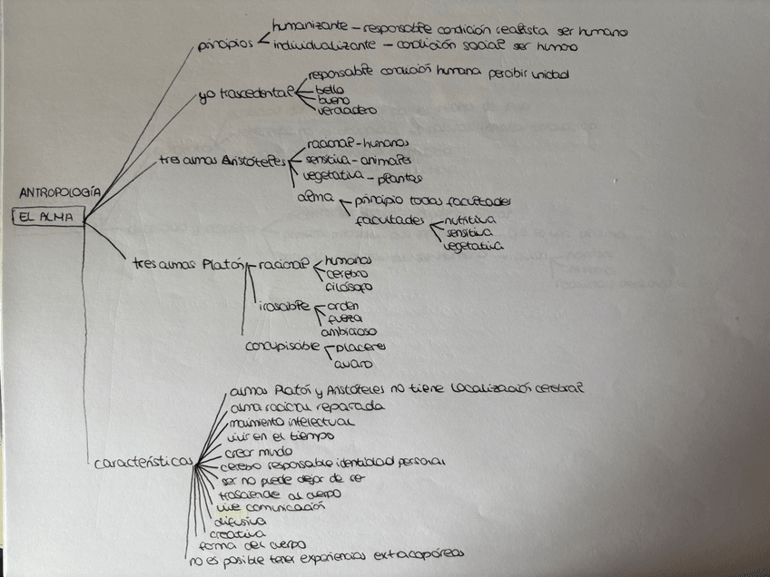 Miniatura del documento IMG0729.jpeg