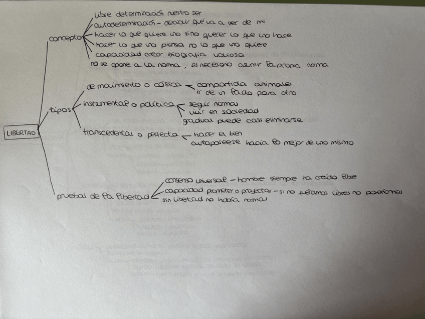 Miniatura del documento IMG0731.jpeg