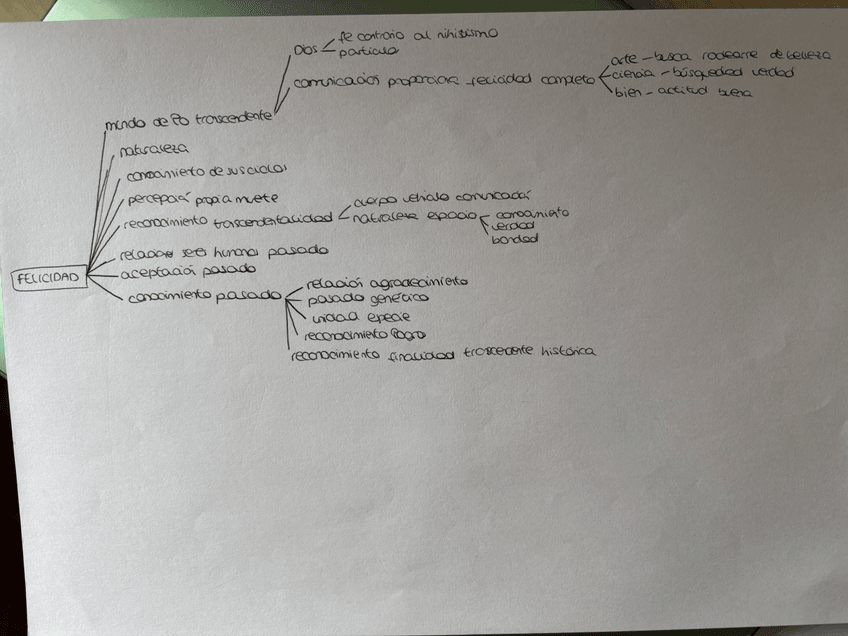 Miniatura del documento IMG0735.jpeg