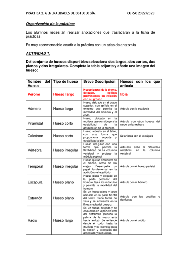 Miniatura del documento Practica-2-Anatomia.pdf