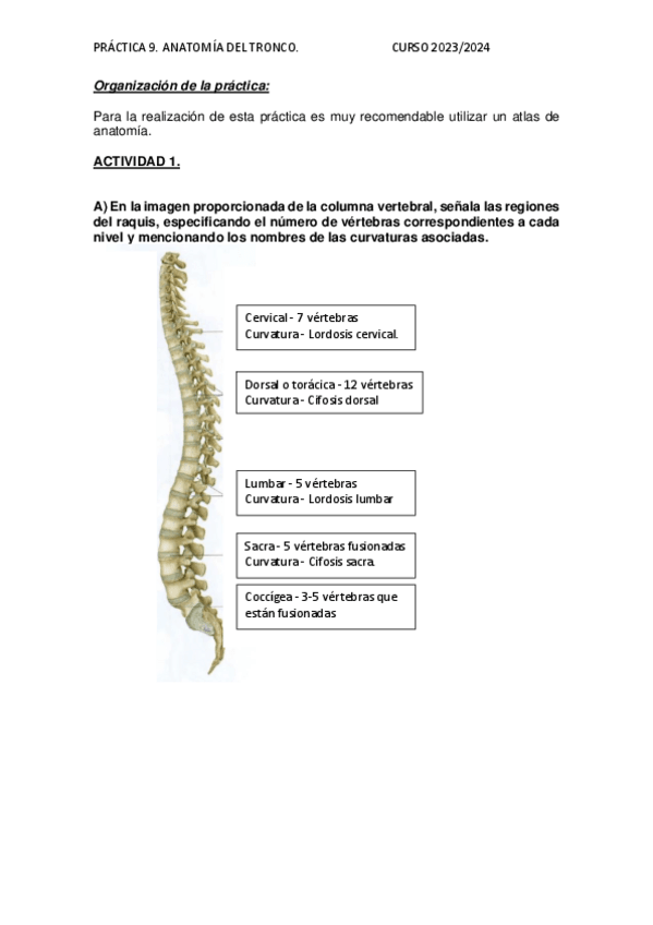 Miniatura del documento Practica-9-Anatomia.pdf