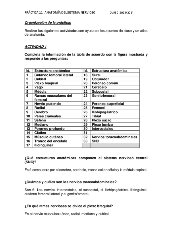 Miniatura del documento Practica-11-Anatomia.pdf