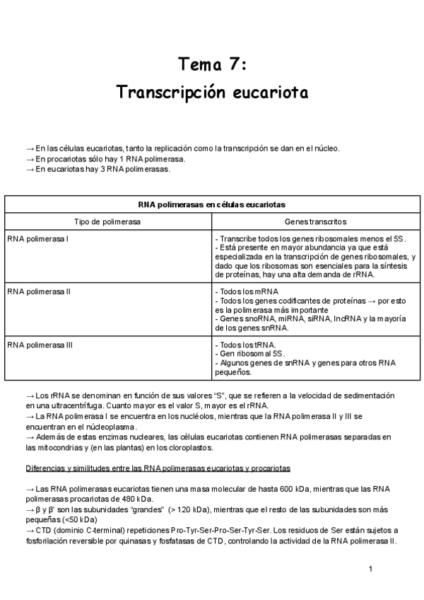 Miniatura del documento Tema-7-Transcripcion-eucariota.pdf