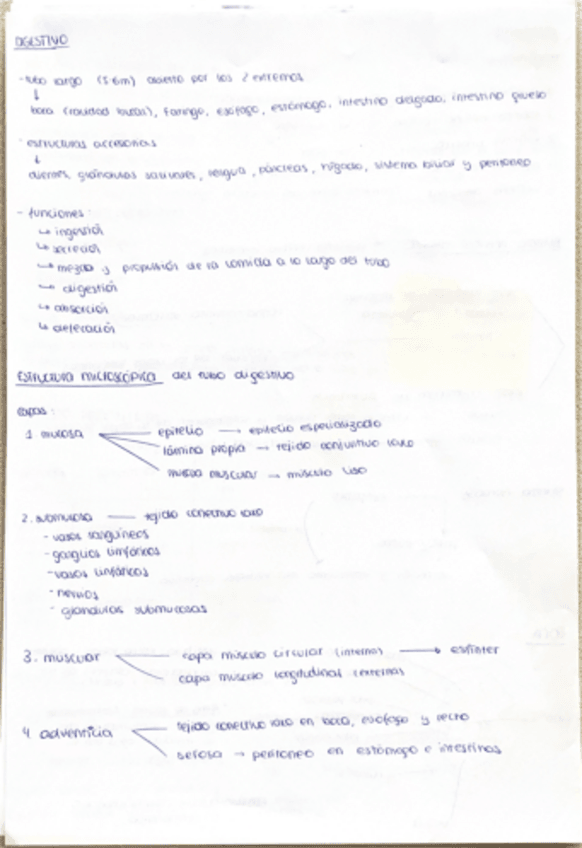 Miniatura del documento DIGESTIVO.pdf