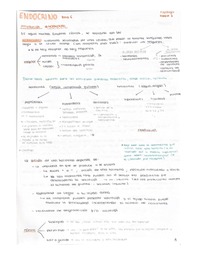 Miniatura del documento ENDOCRINO.pdf