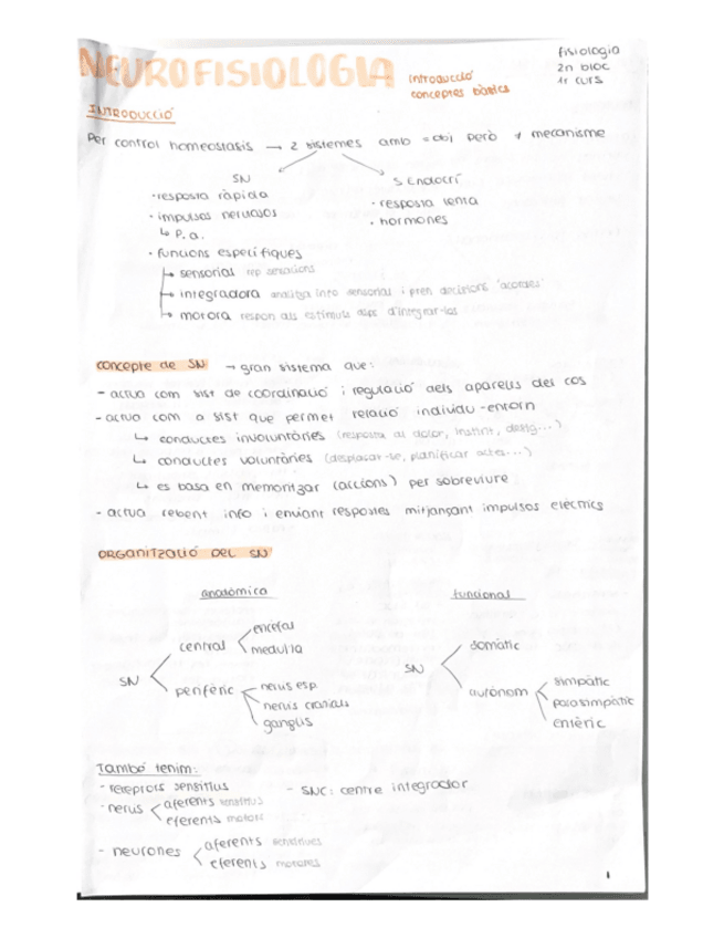 Miniatura del documento neurofisiologia.pdf