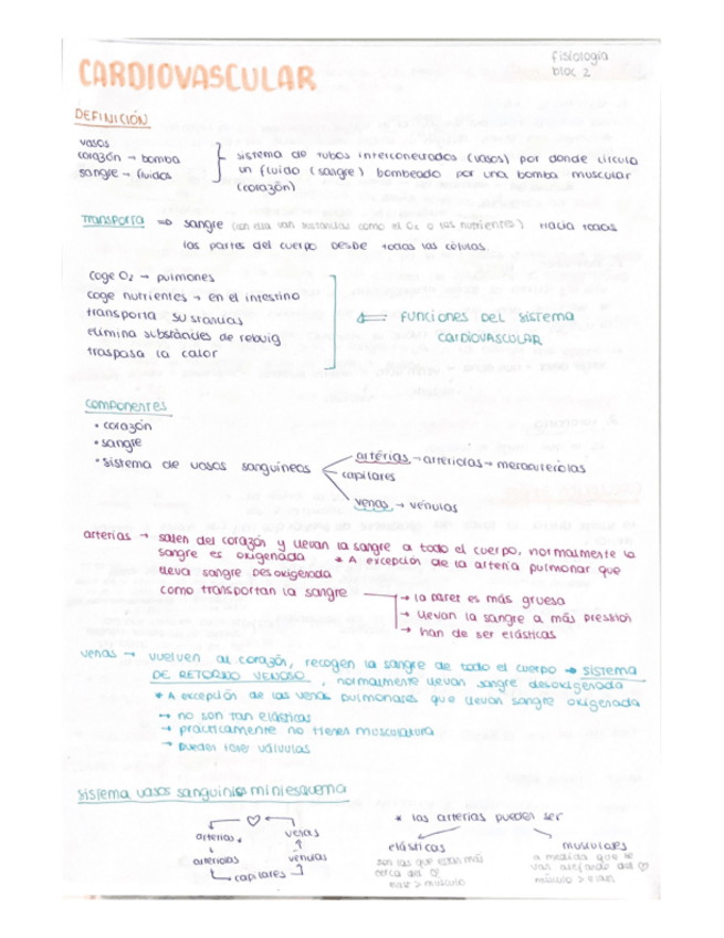Miniatura del documento CARDIOVASCULAR.pdf