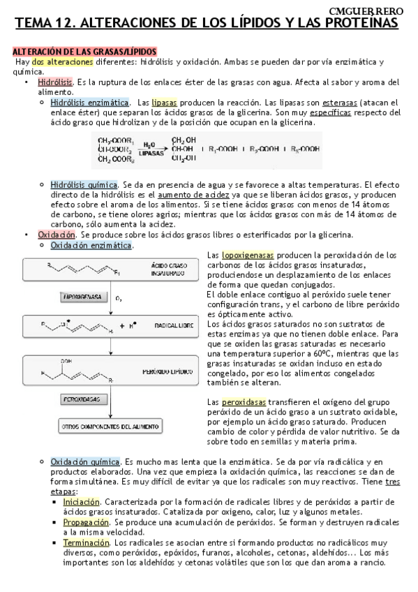 Miniatura del documento TEMA 12 AGROALIMENTARIA.pdf