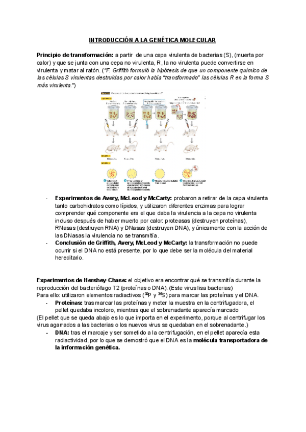 Miniatura del documento Unidad-A.pdf